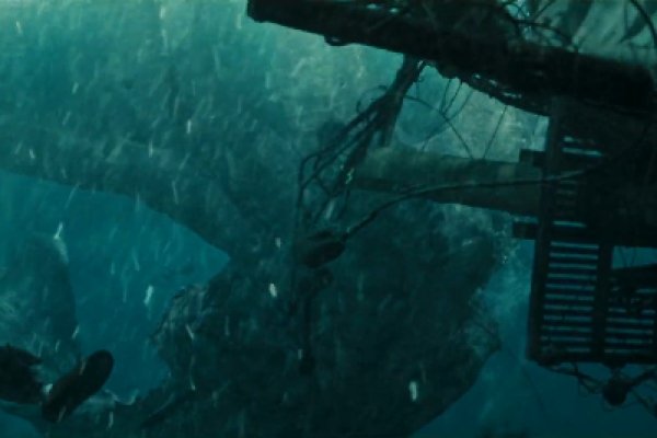 Кракен krab cc - проверенный вариант